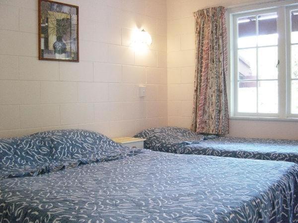 Browns Bay Olive Tree Motel & Apartment Okura Bush 客房 照片